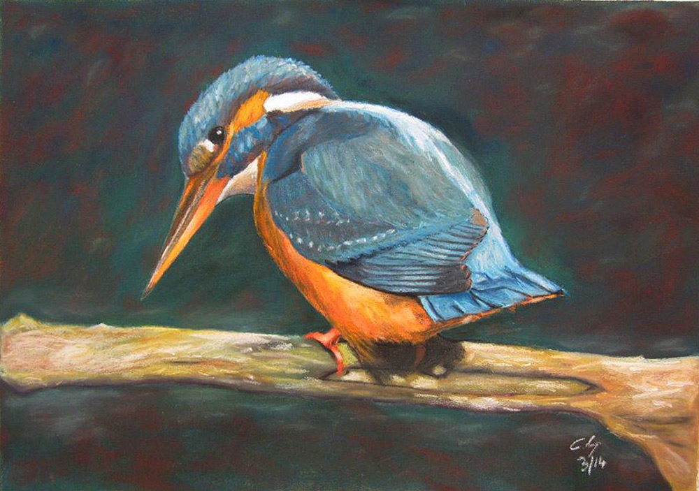 novus art kingfisher chris graham