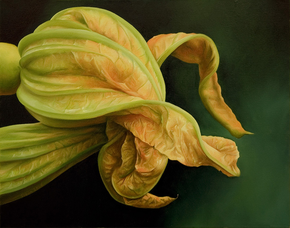 novusart-dan-green-oil-painting-courgette-flower on green background