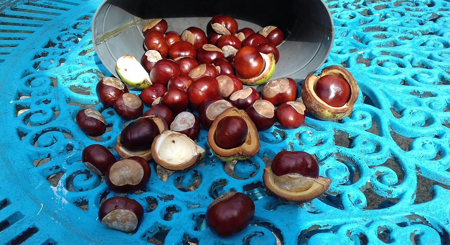 chestnuts on blue metal table