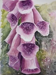 novus art martin eeles