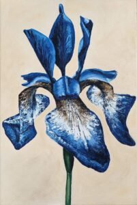 novusart-studio-judi-beggs-blue-iris-20240309-01