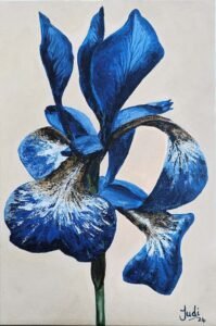 novusart-studio-judi-beggs-blue-iris-20240309-02