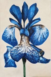 novusart-studio-judi-beggs-blue-iris-20240309-03
