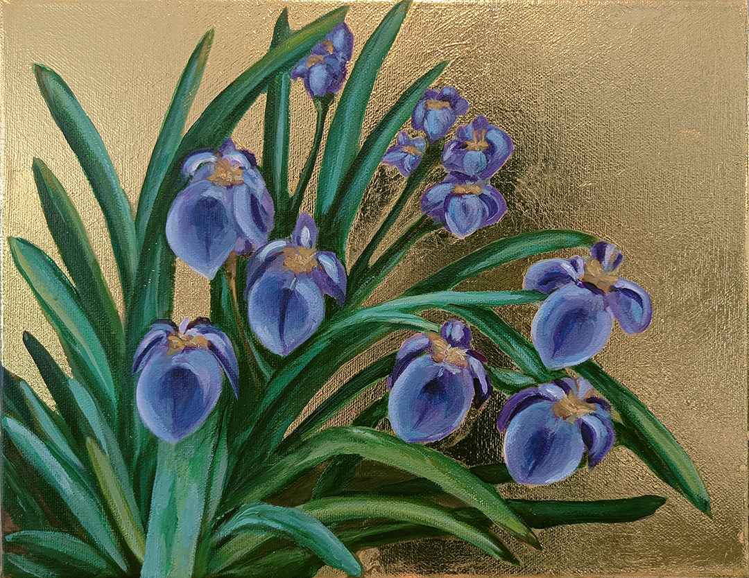 novus-art-studio-judi-beggs-iris