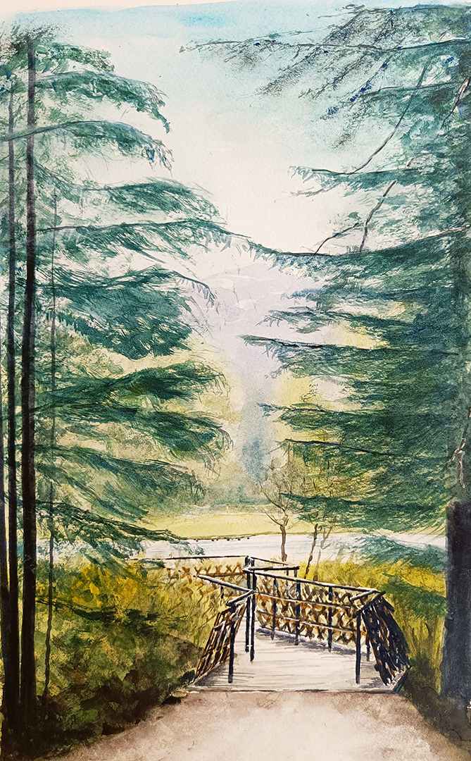 novus-art-studio-martin-eeles-landscape